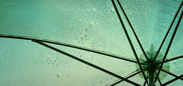 blue umbrella 